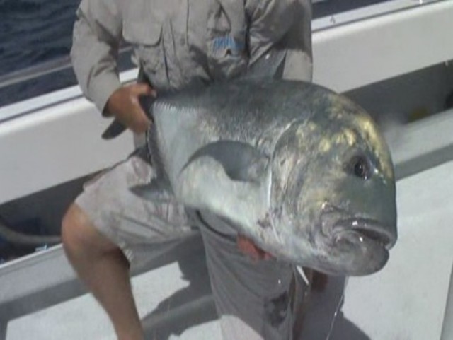 GT'S on the Great Barrier Reef GT'S on the Great Barrier Reef